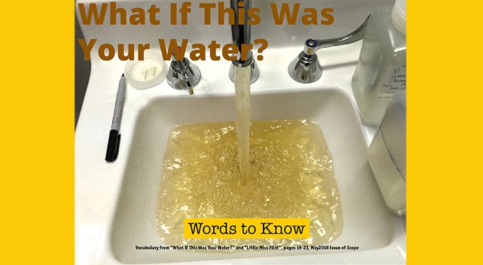 https://scope.scholastic.com/content/dam/classroom-magazines/scope/issues/2017-18/050118/what-if-this-was-your-water/slideshow/SCO-050118-WhatIfThisWasYourWater.jpg