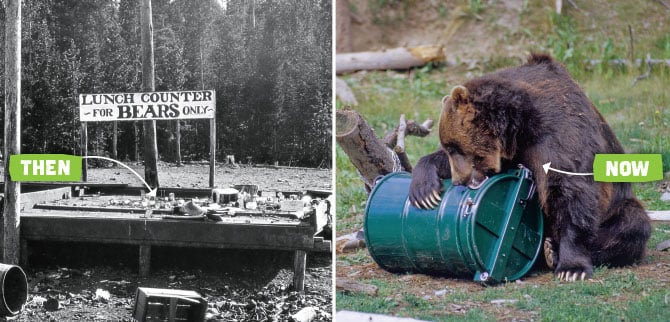 Grizzly Bear Charges At Guided Alaskan Tour in Harrowing Video - Men's  Journal