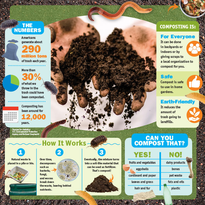 What You Need To Know To Start Composting, Meg Unprocessed