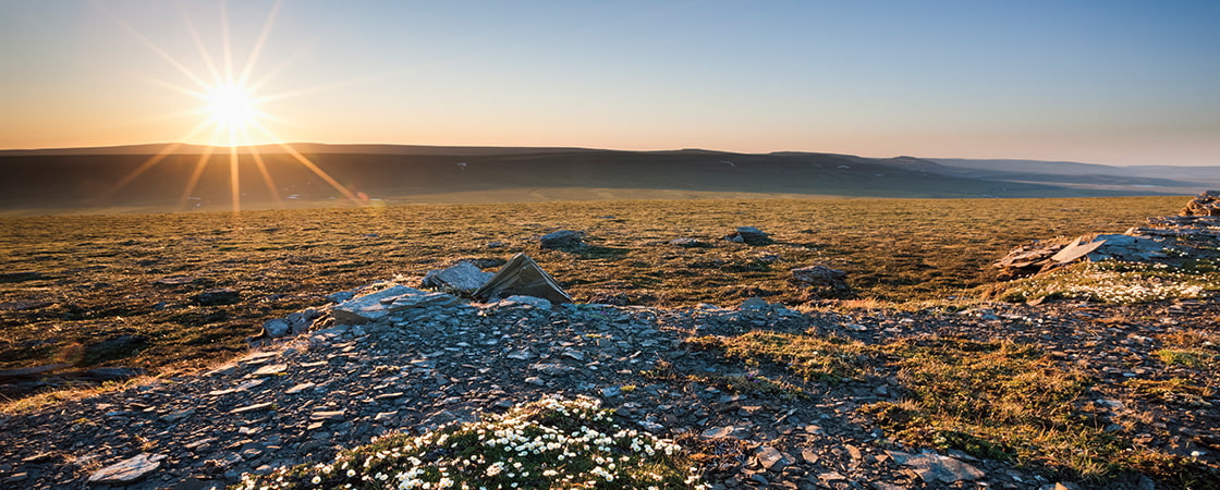 The Arctic midnight sun! - Arctic Portal