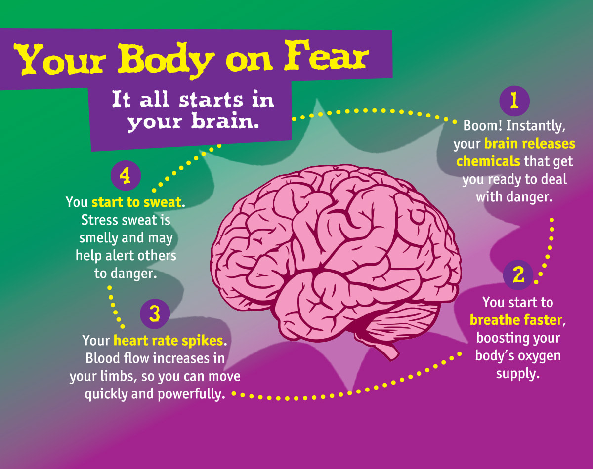 This is your brain on roller coasters? - Scope