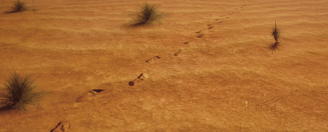 Image of footprints in a barren landscape