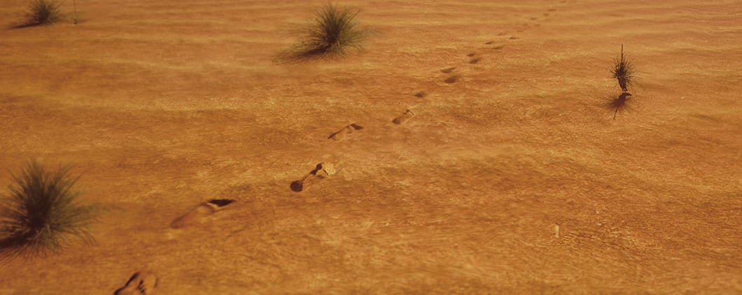 Image of footprints in a barren landscape