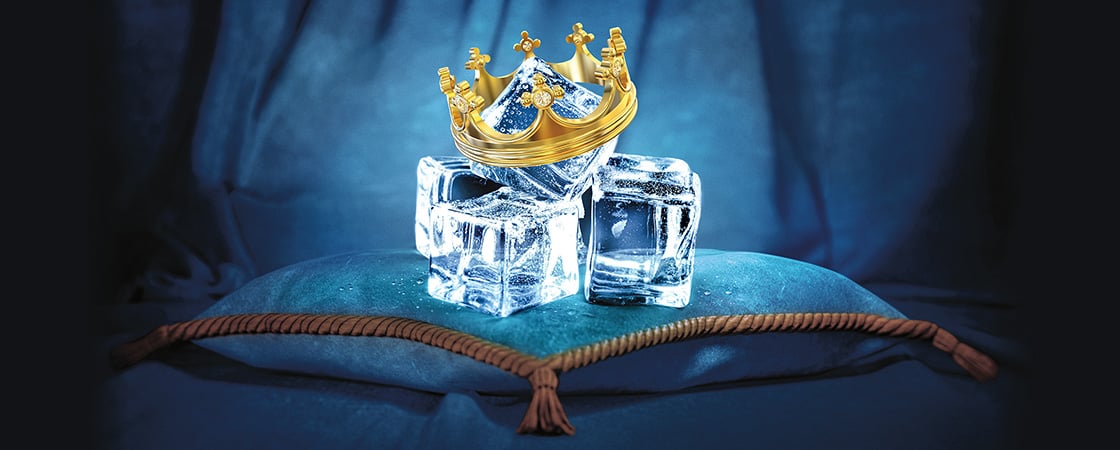 Image of ice cubes wearing a crown and placed on a royal blue pillow
