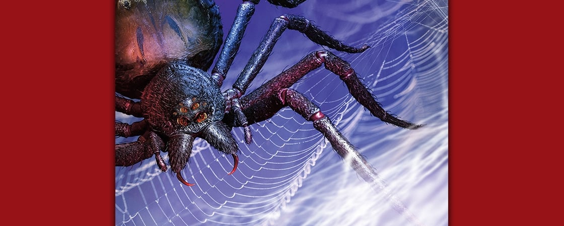 Image of spider with fangs on its web