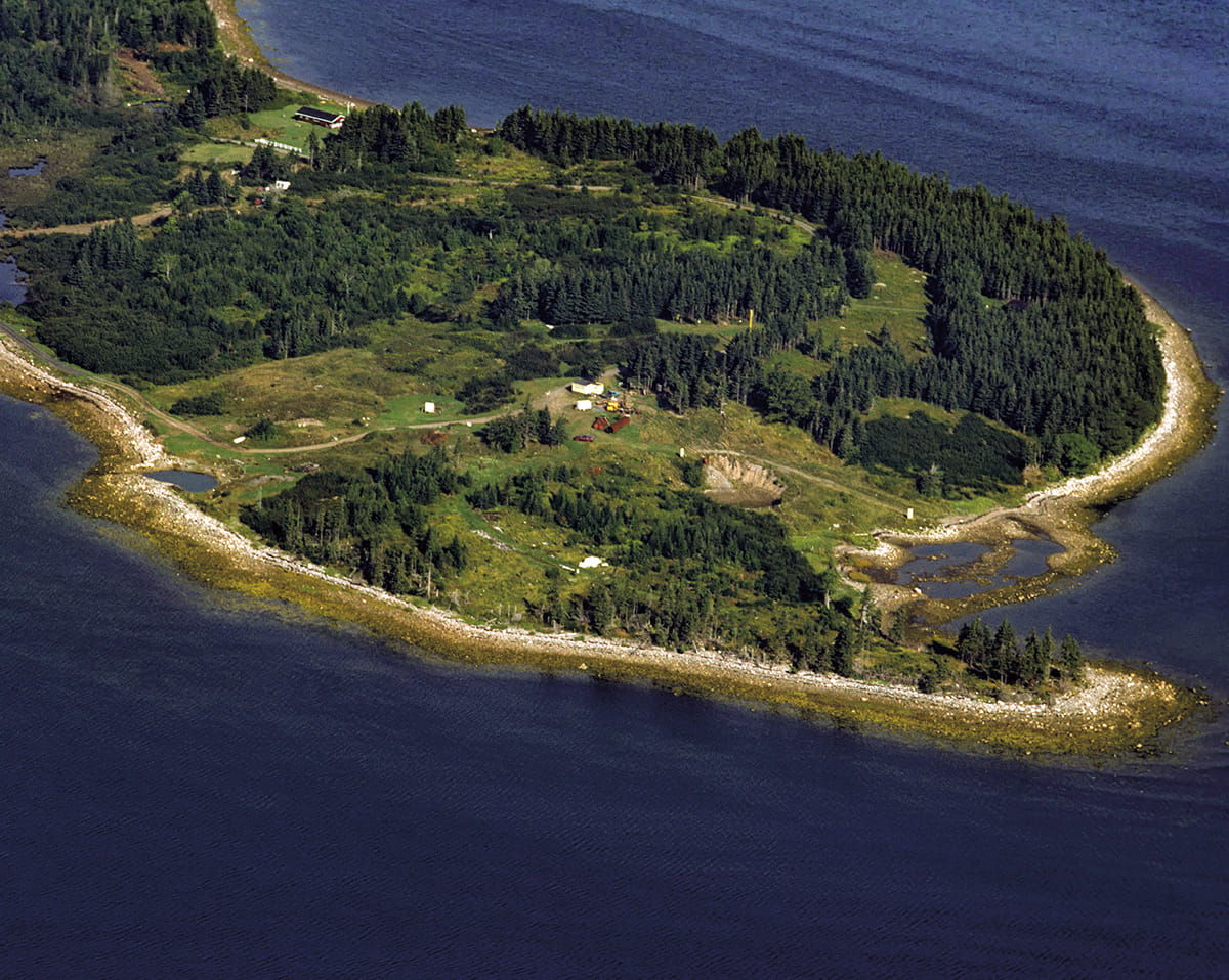 What's Buried on Oak Island?