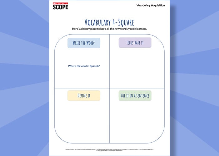 Vocabulary Four Square PDF resource
