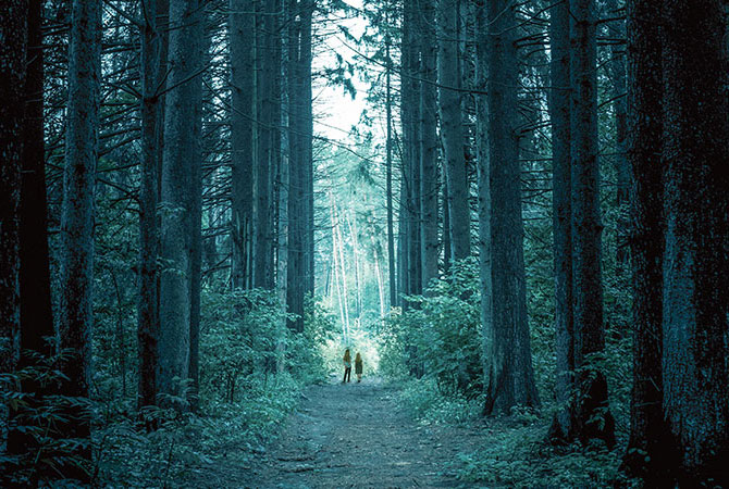 Two kids in a gigantic forest