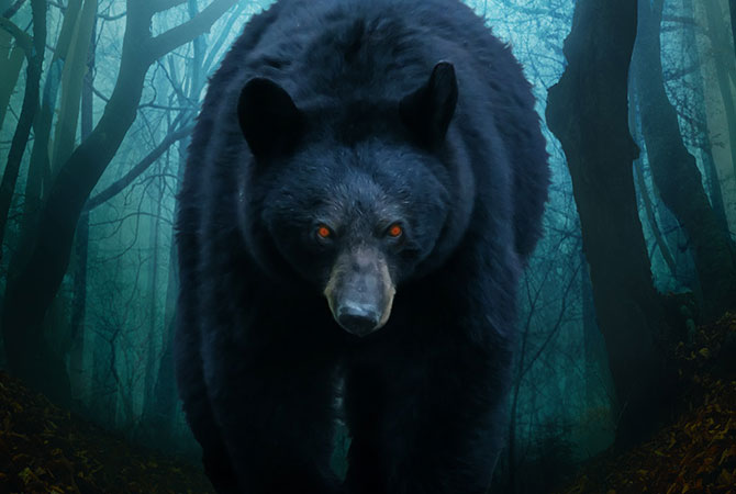 Bear with glowing red eyes